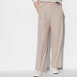 Uniqlo Wide-Fit Pleated Pants